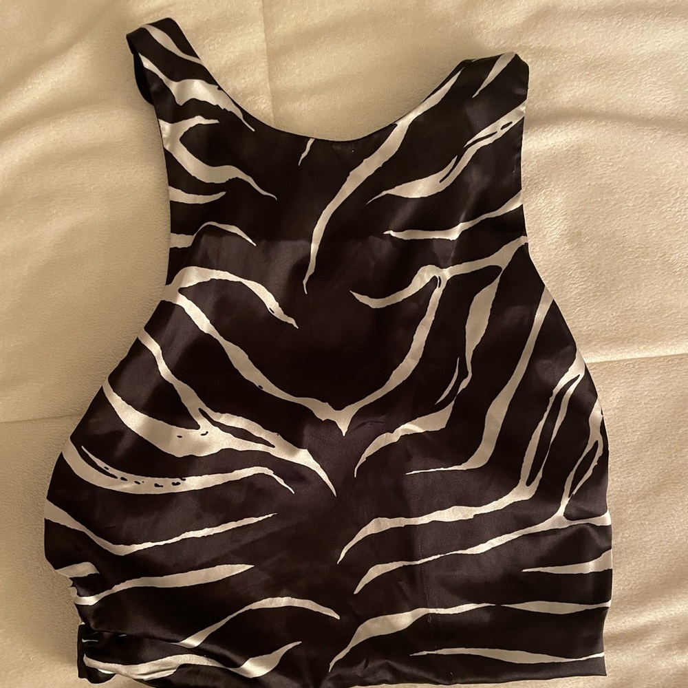 Zara Zebra Print Crop Top